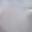 Griffschalenfarbe silber Griffschalenfarbe silber