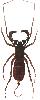 Skorpionspinne