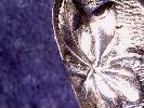 Detailaufnahme Briefffner Art Nouveau, Frankreich, ca. 1900