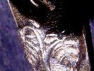 Detailaufnahme Briefffner Art Nouveau, Frankreich, ca. 1900