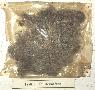 Kleidermotte (Tinea pellionella) - Fra an Polstermaterial